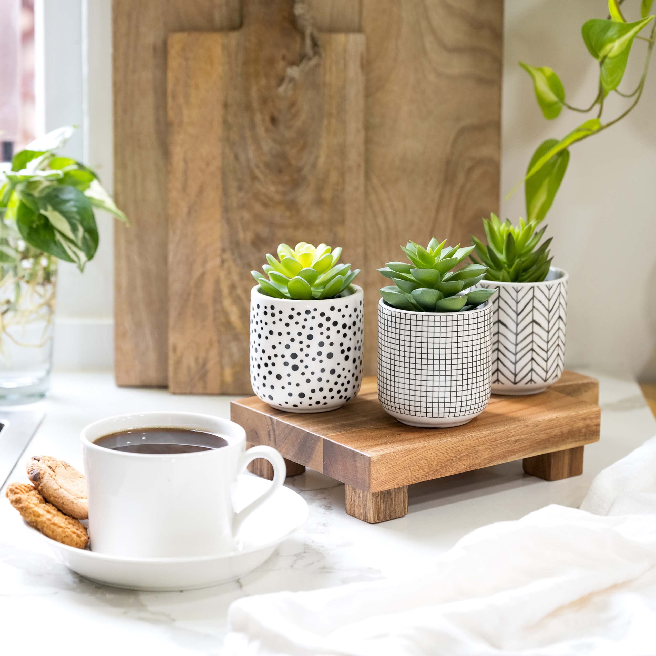 Kurrajong Farmhouse trio on bathroom counters require no watering for a clean look.