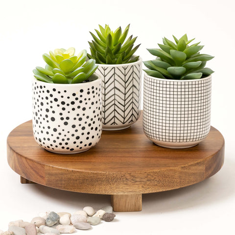 Kurrajong Farmhouse artificial succulents create instant room accents in any space.