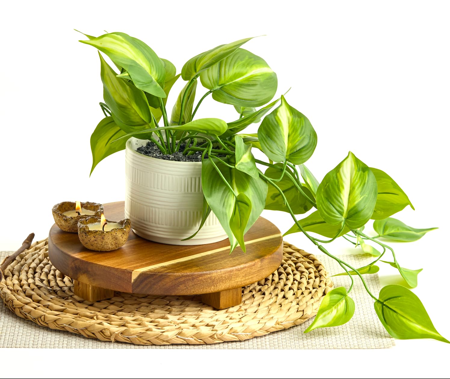 Kurrajong Farmhouse pothos leaf detail showcases realistic texture for convincing decor.