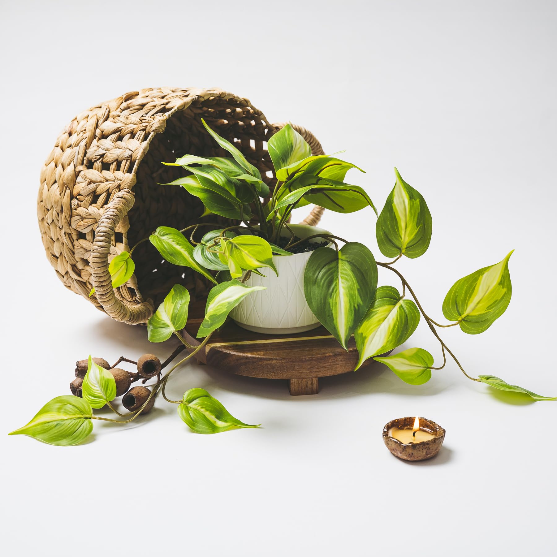 Kurrajong Farmhouse faux pothos suited for bathrooms and kitchens with style