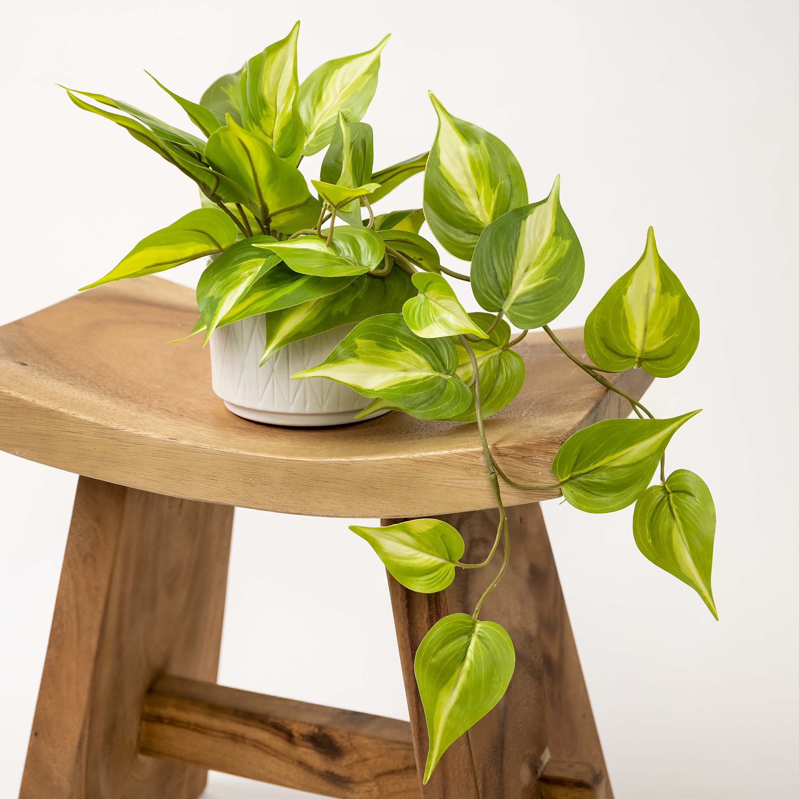 Kurrajong Farmhouse stable pot base ensures drama-free display