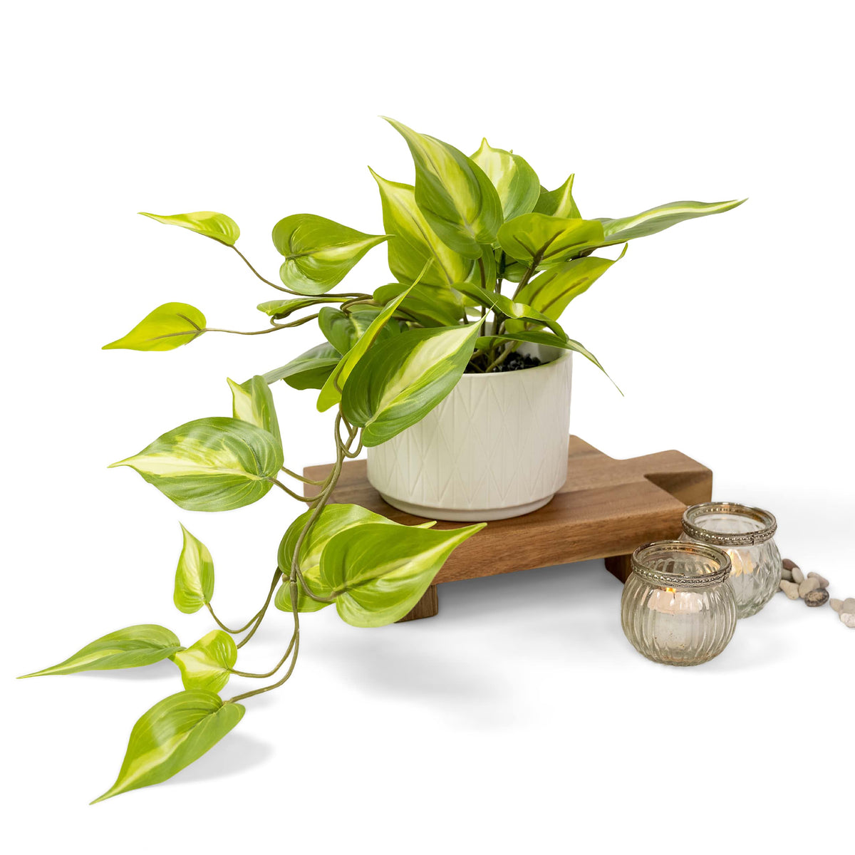 Kurrajong Farmhouse faux pothos with cascading leaves for shelf decor