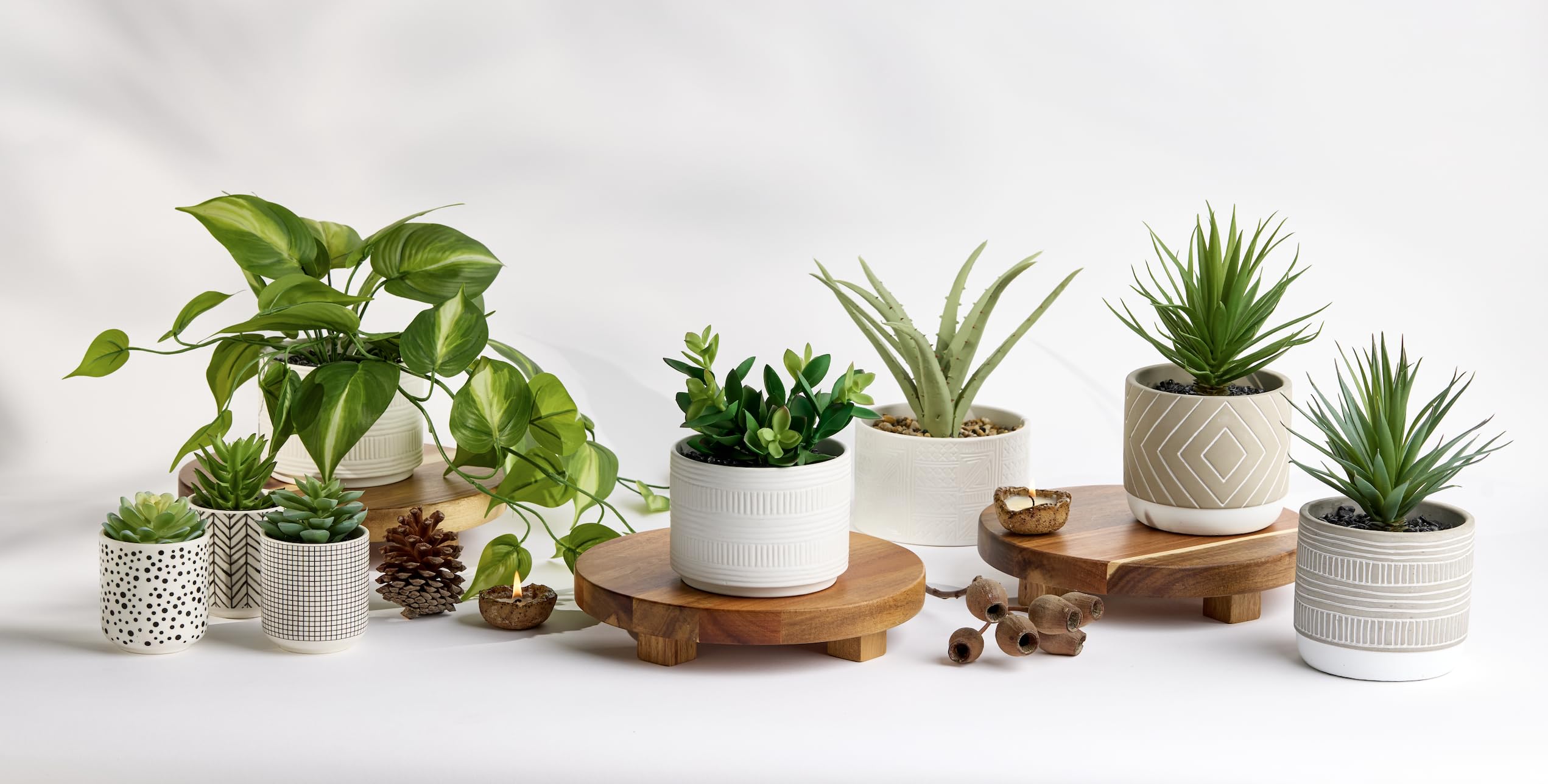 Kurrajong Farmhouse wooden pedestal stand adds warmth to plants and decor.