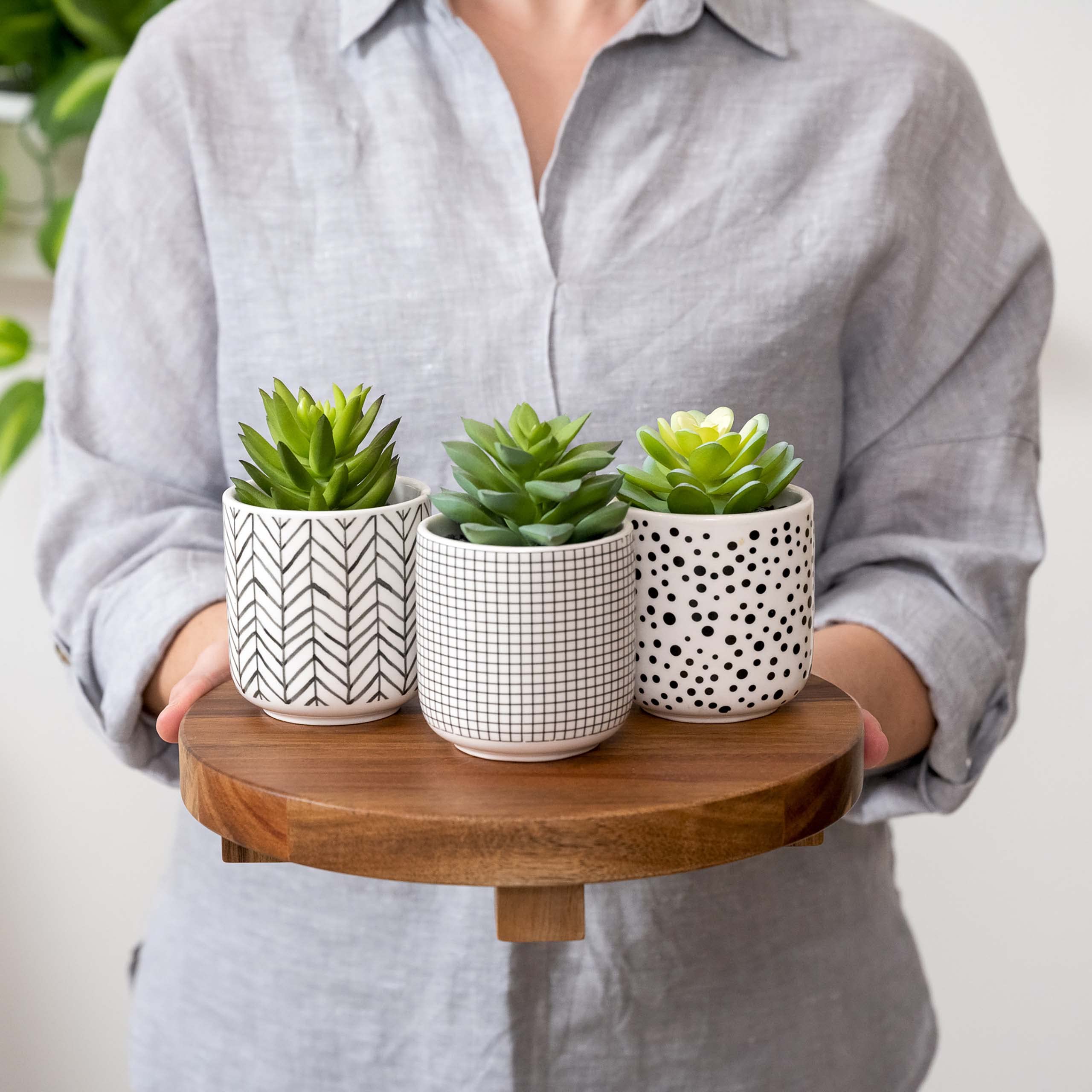 Kurrajong Farmhouse plant holder tray for candles, soaps, or small items.