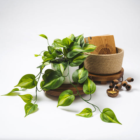 Kurrajong Farmhouse pothos bookcase decor adds depth without mess or watering.