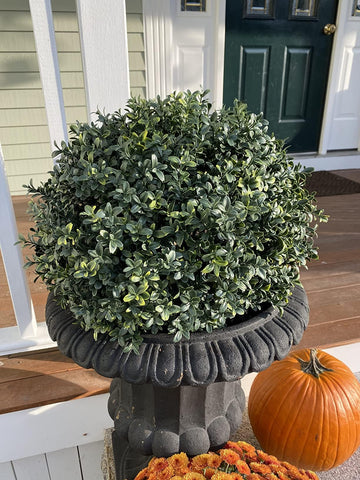 kyesyes boxwood ball green 18x18 size fits compact planters