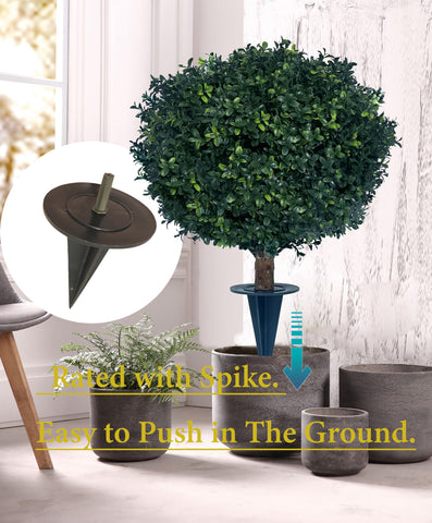 Kyesyes boxwood ball bush ground ambience adds curb appeal.
