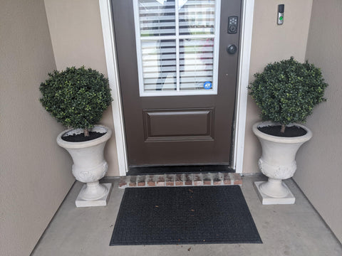 kyesyes planter-ready boxwood ball bush adds instant greenery