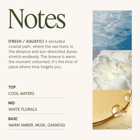 La Jolie Muse Aegean Sea & Dune candle packaging indicates eco-conscious gift-ready design