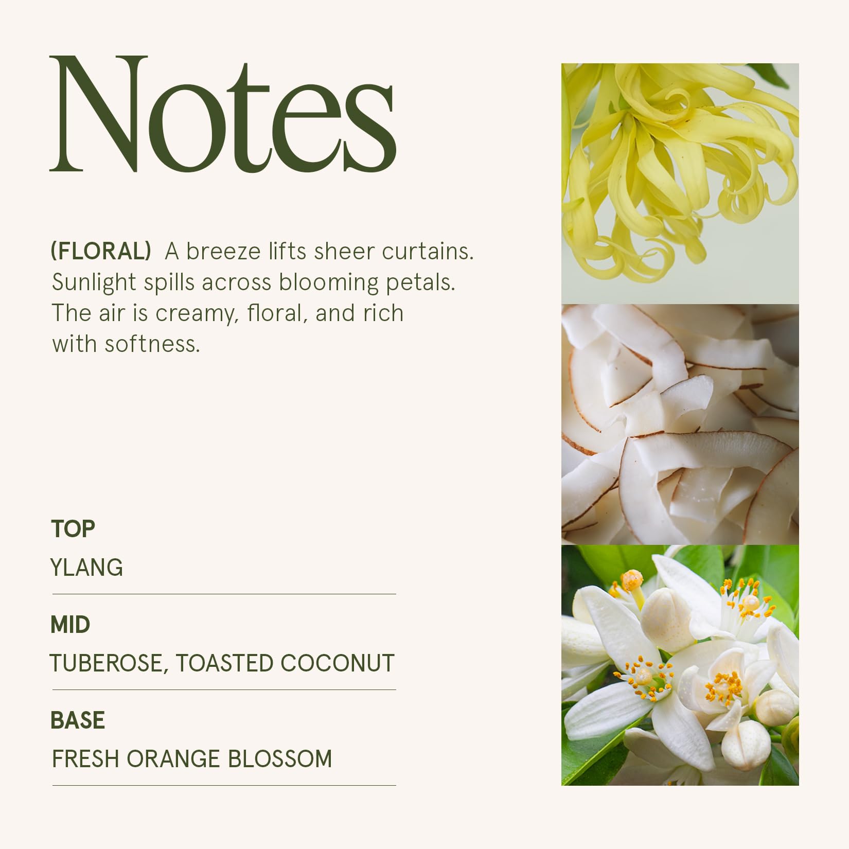 LA JOLIE MUSE Champs de Tuberose 10 oz reusable jar ready for gifting