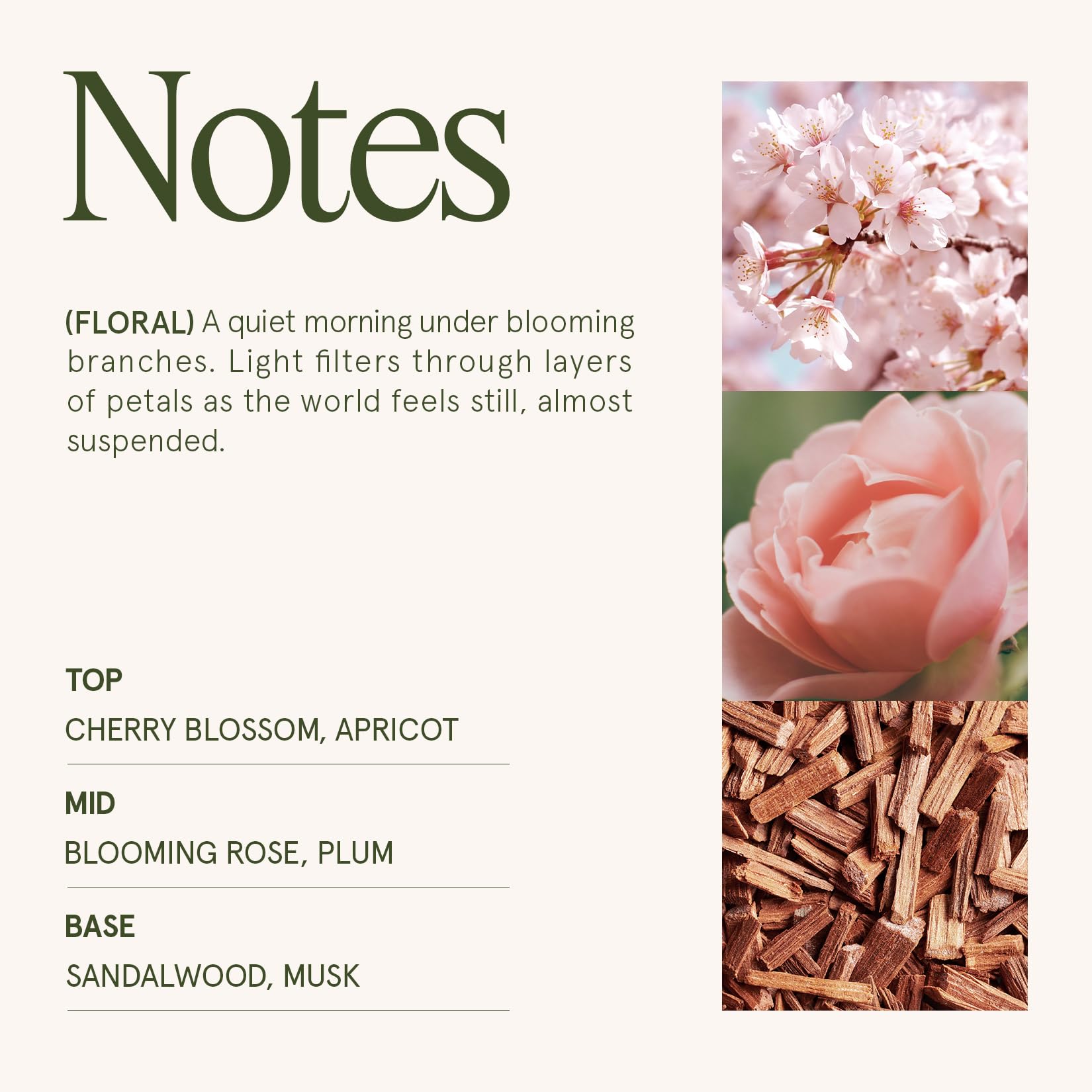 LA JOLIE MUSE Cherry Sakura Candle featuring a cherry wood wick for steady glow
