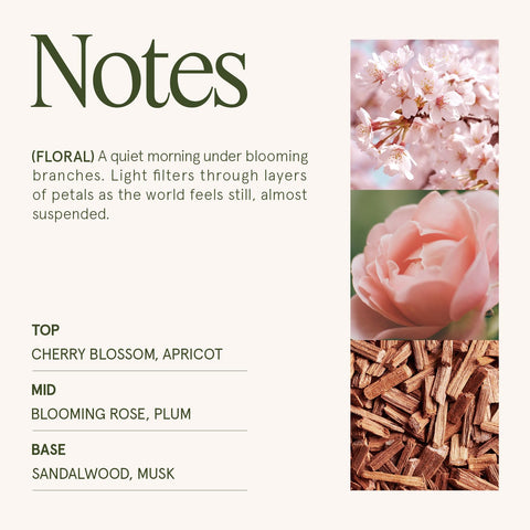LA JOLIE MUSE Cherry Sakura Candle featuring a cherry wood wick for steady glow