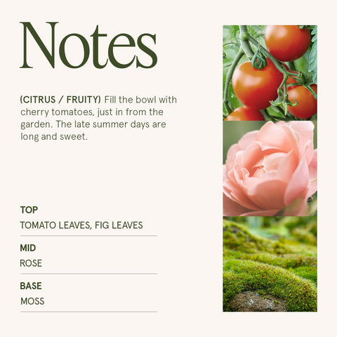 La Jolie Muse embossed daisy jar highlights decorative charm and gift-ready appeal.