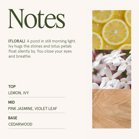 LA JOLIE MUSE Jasmine-ivy-cedarwood notes evoke calm spaces