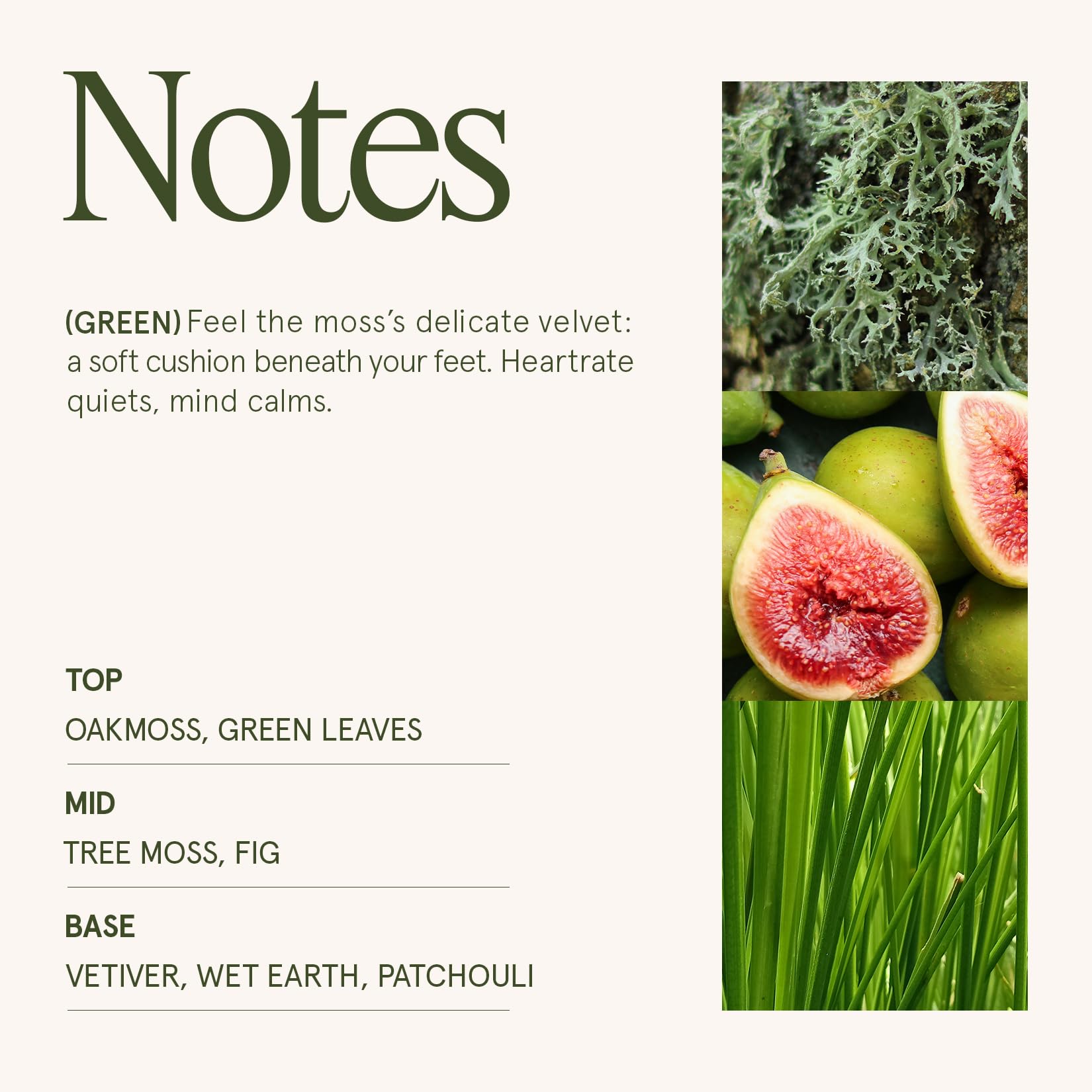 Kyoto Vine & Moss Candle packaging box by LA JOLIE MUSE, eco-friendly design