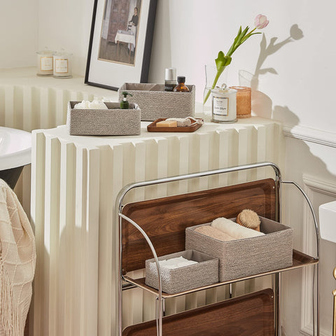 LA JOLIE MUSE makeup storage bin keeps cosmetics organized on a shelf.