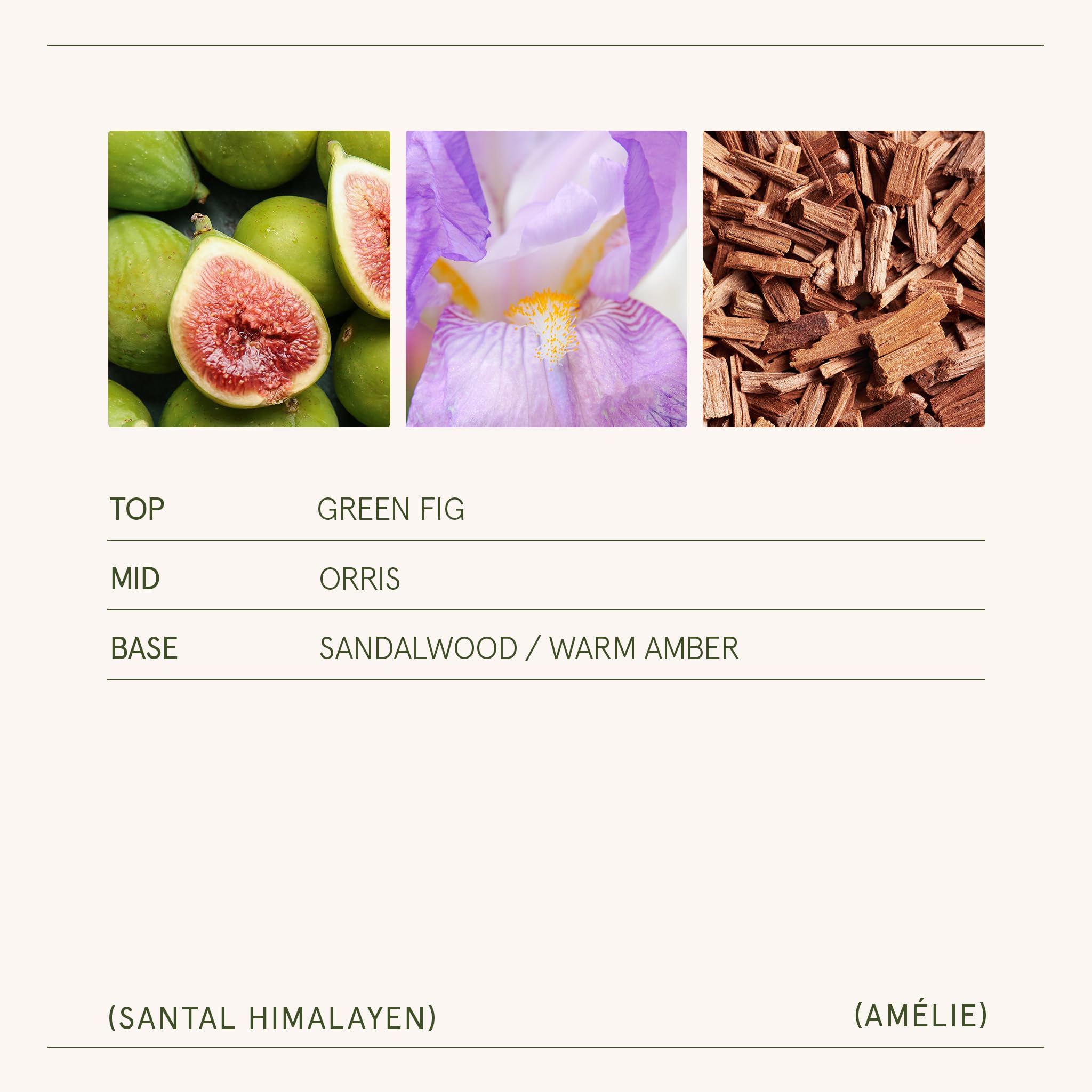 LA JOLIE MUSE Santal Himalayen candle ambient shot for cozy spaces.