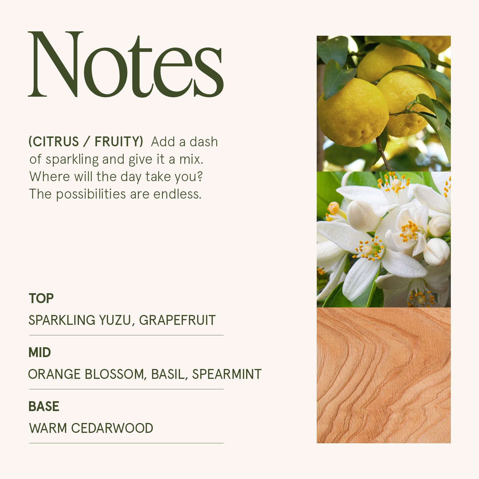 LA JOLIE MUSE Yuzu & Neroli Blossom Candle diffuses fragrance quickly, filling rooms with warmth.