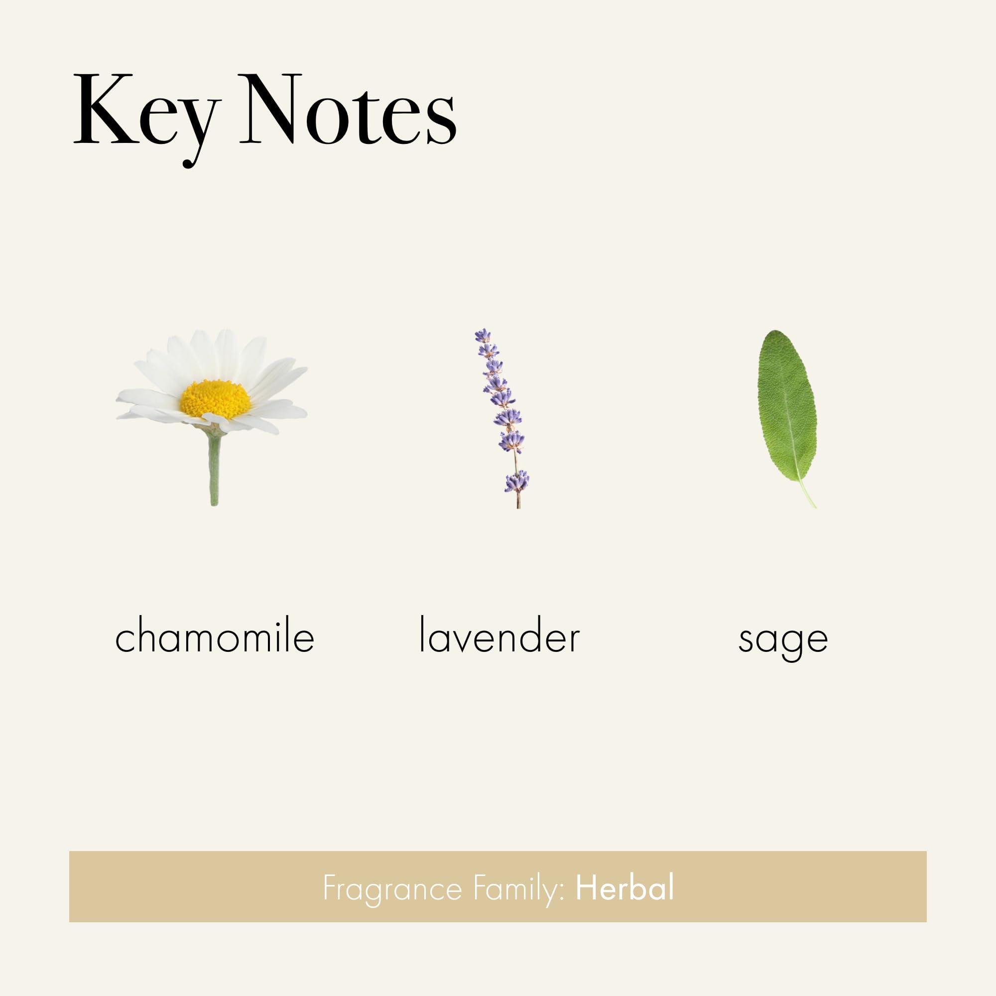 LAFCO New York Chamomile Lavender ambiance for bedroom mood with calming notes.