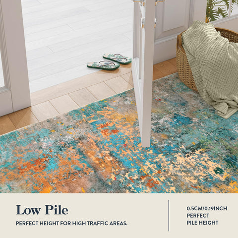 Lahome 2x3 rug is machine washable for easy cleanup