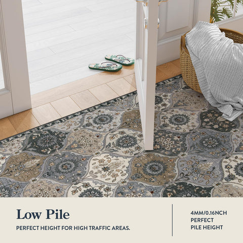 Lahome non-slip TPE backing rug keeps entryway secure