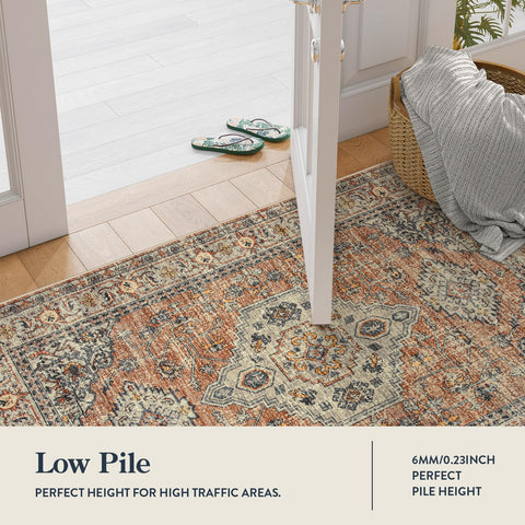 Lahome seal-pattern rug adds vintage charm while cleaning spills easily