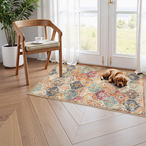 Lahome ultra-thin entryway rug, fits under doors and furniture safely.