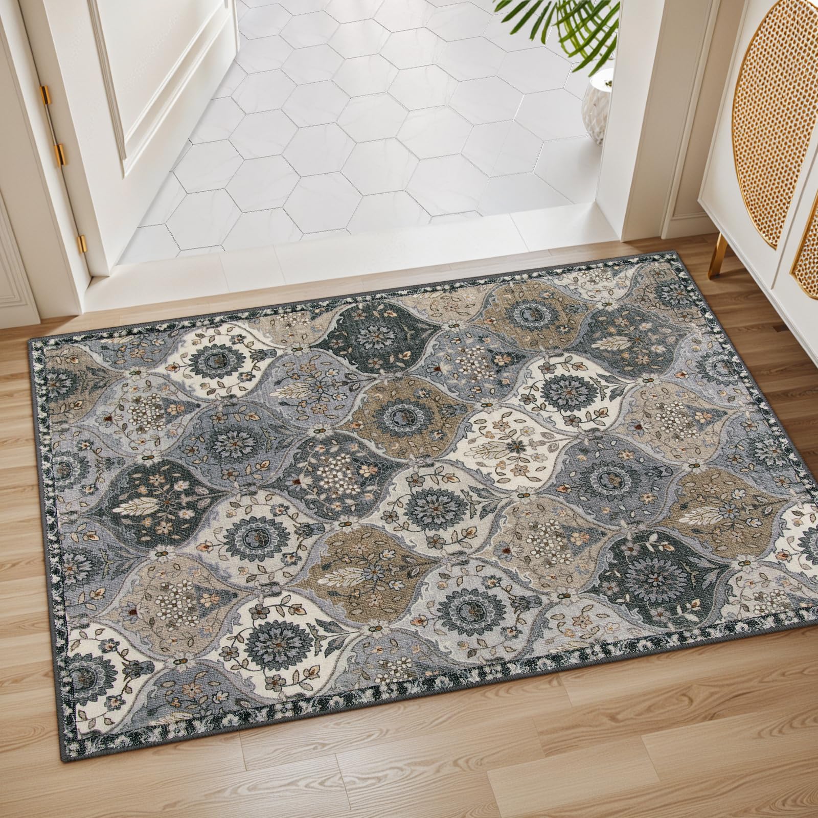 Lahome ultra-thin entryway rug fits under doors with ease