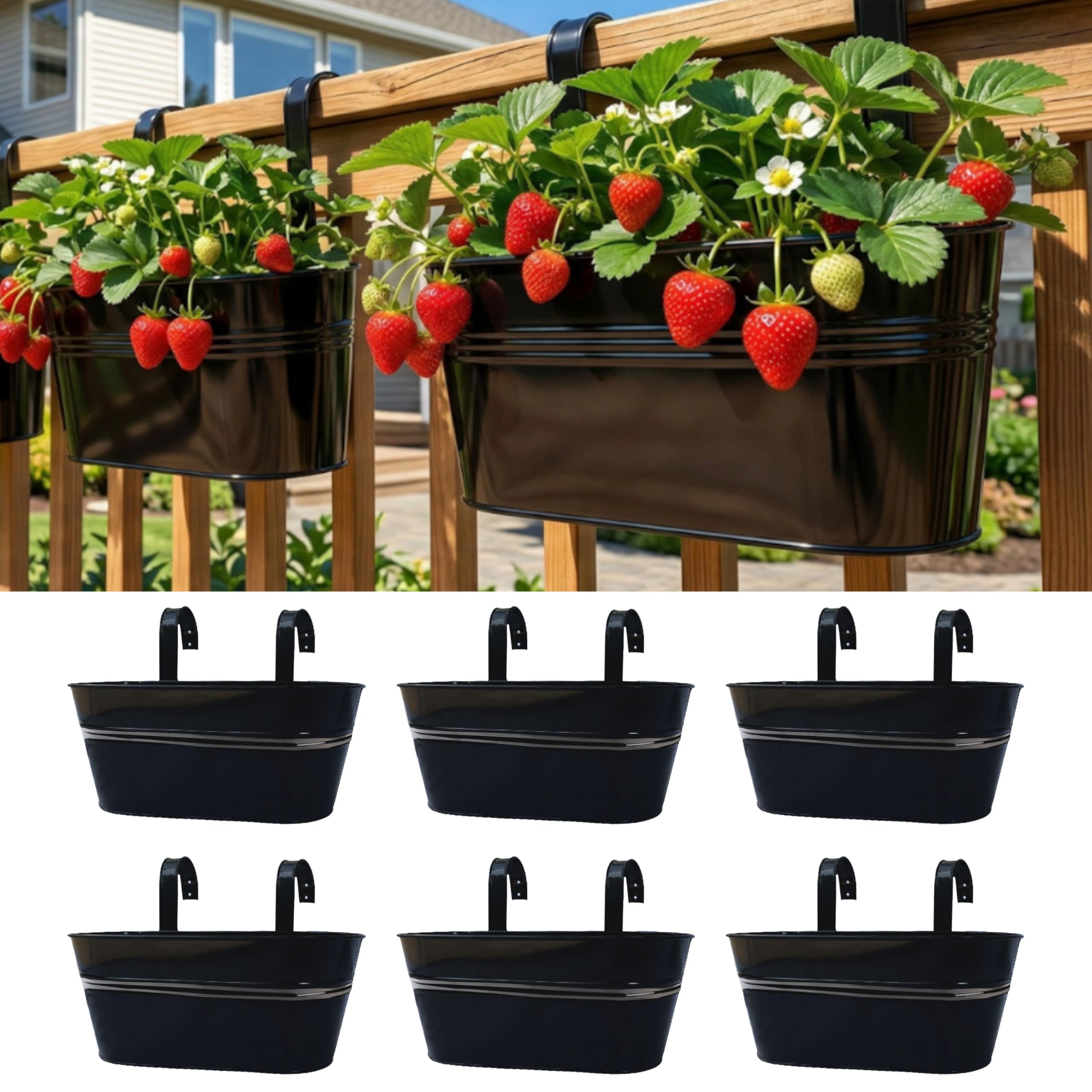 LáLáGreen rail planter 6-pack on sturdy black metal for balcony gardening