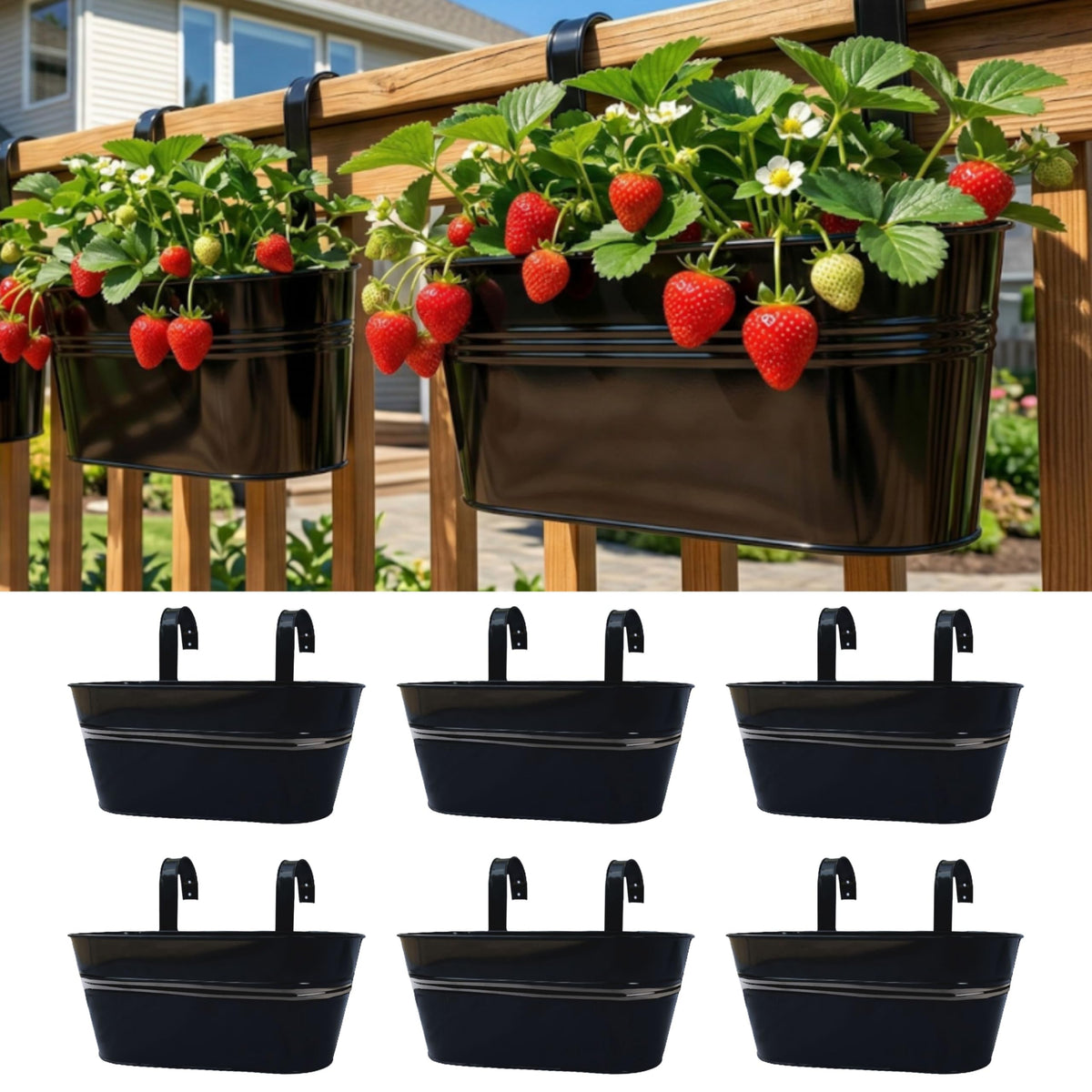 LáLáGreen rail planter 6-pack on sturdy black metal for balcony gardening