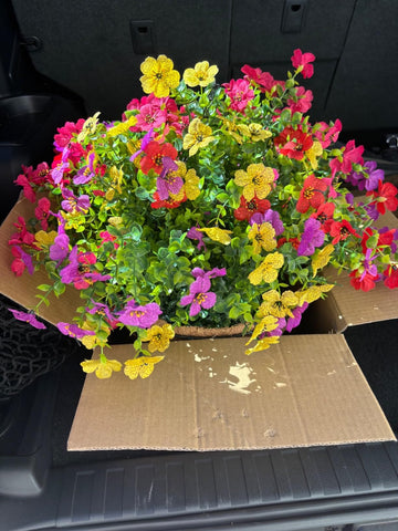 Lamsze colorful daisy eucalyptus mix brightens entryways and patios.