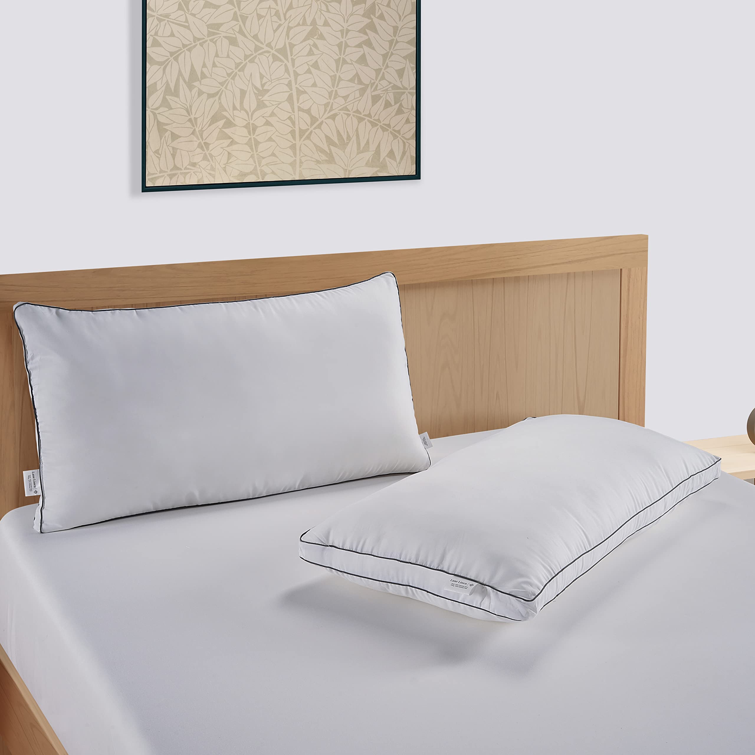 LANE LINEN queen size 20x30 pillow fits standard pillowcases