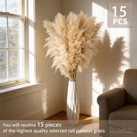 LarkAsh tall pampas grass plumes close-up highlighting fluffy texture