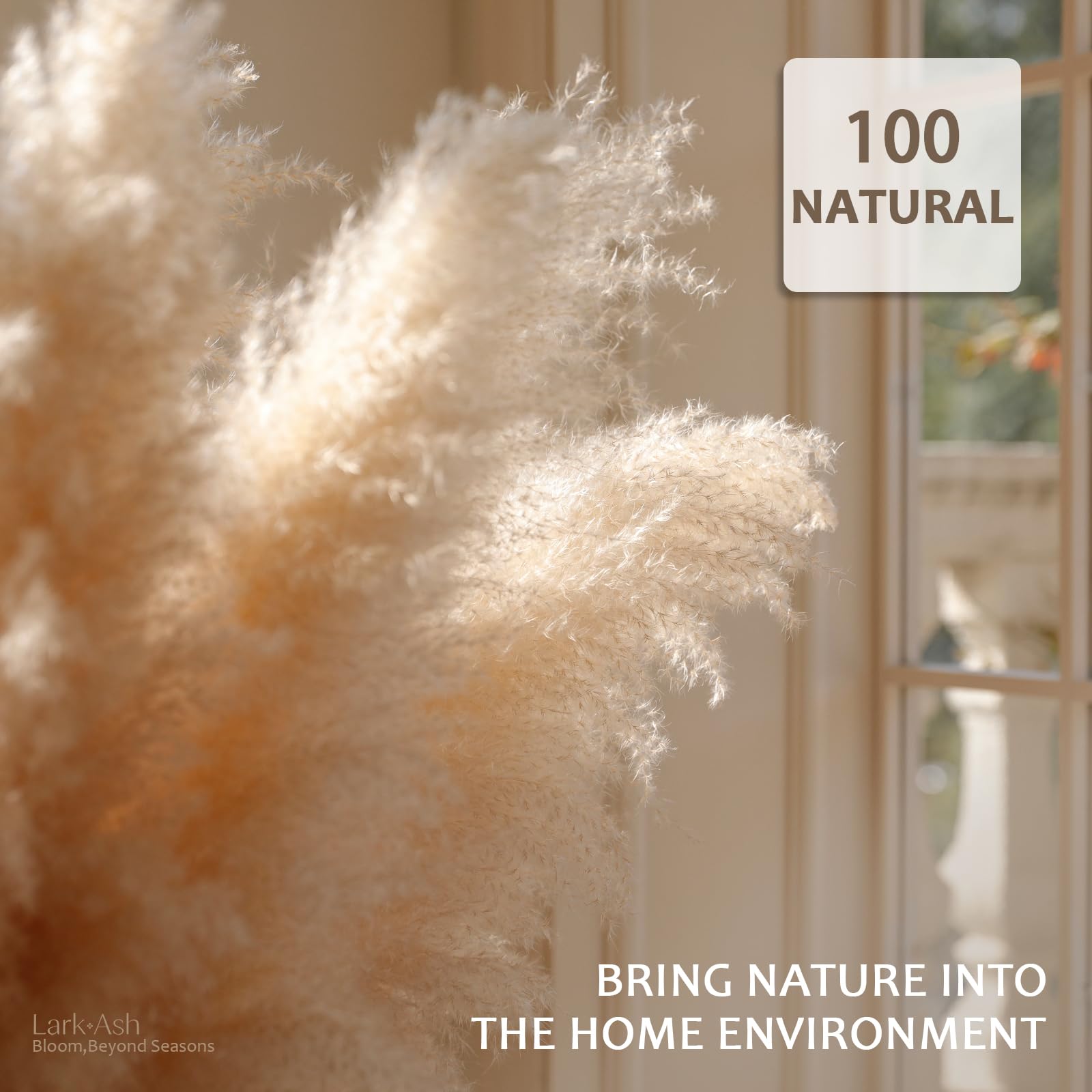 LarkAsh pampas grass bundle ideal for entryways and mantles