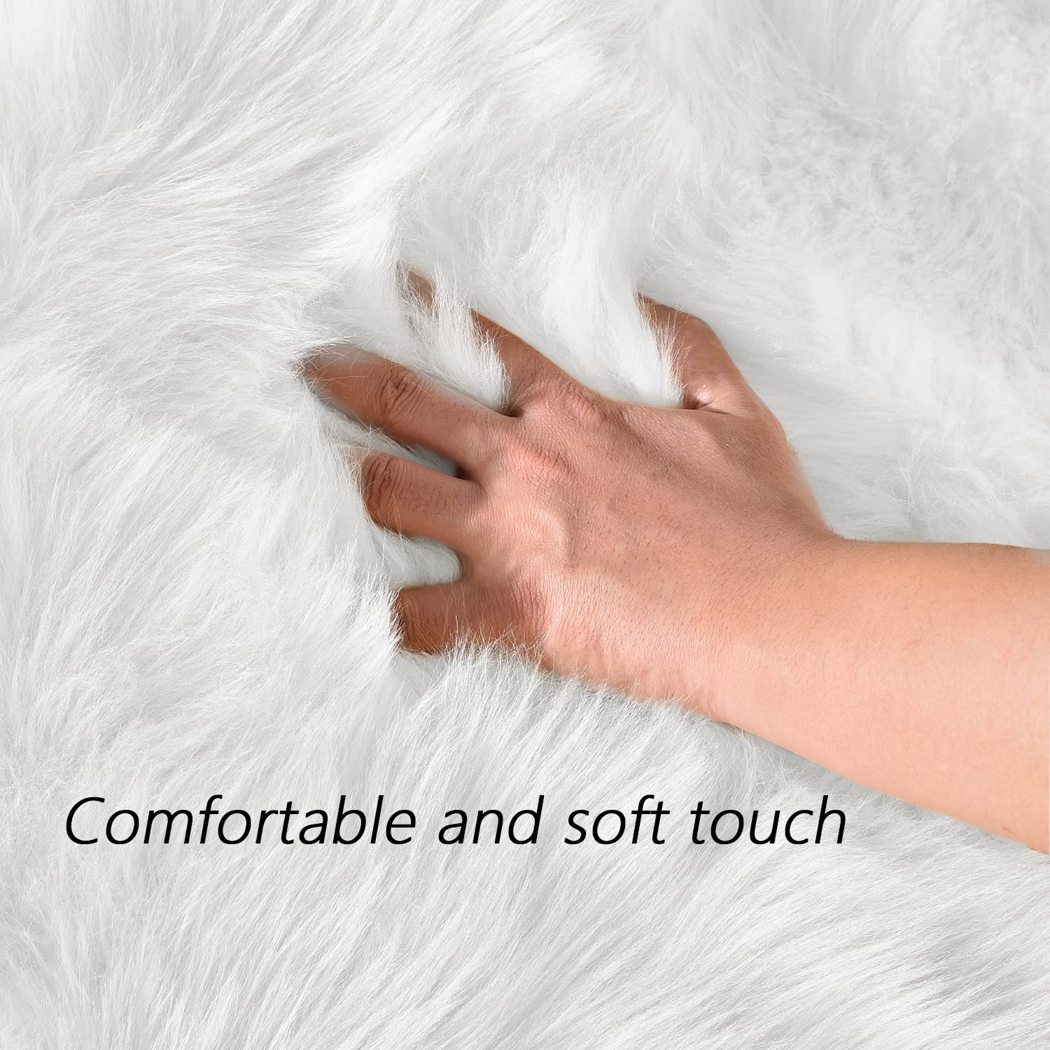 Latepis washable rug stands up to dorm life and spills.