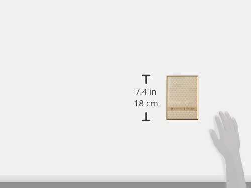 Lawrence Frames Simply Gold back detail shows velvet backing and hanger-ready design.