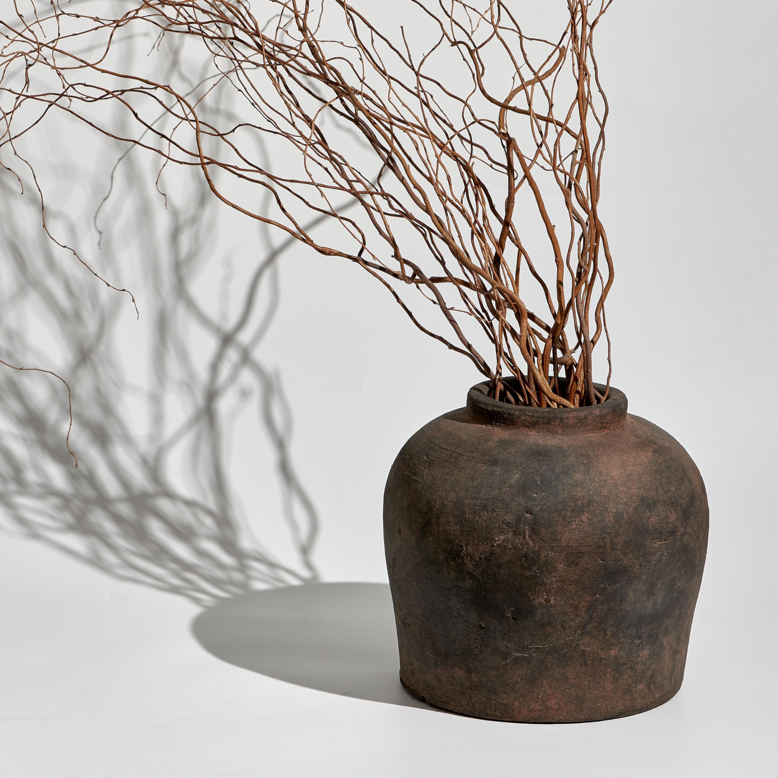 LB2 11-Inch Tall Vase suits living rooms and offices with versatile decor.