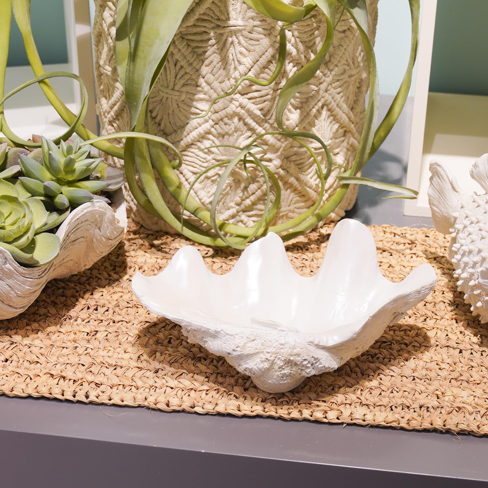 LC LCdecohome resin clam shell bowl on coffee table creates focal point