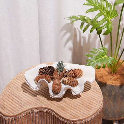 LC LCdecohome resin clam shell bowl on desk as stylish decor
