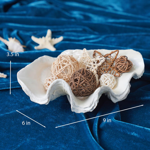 LC LCdecohome resin clam shell bowl as practical key holder