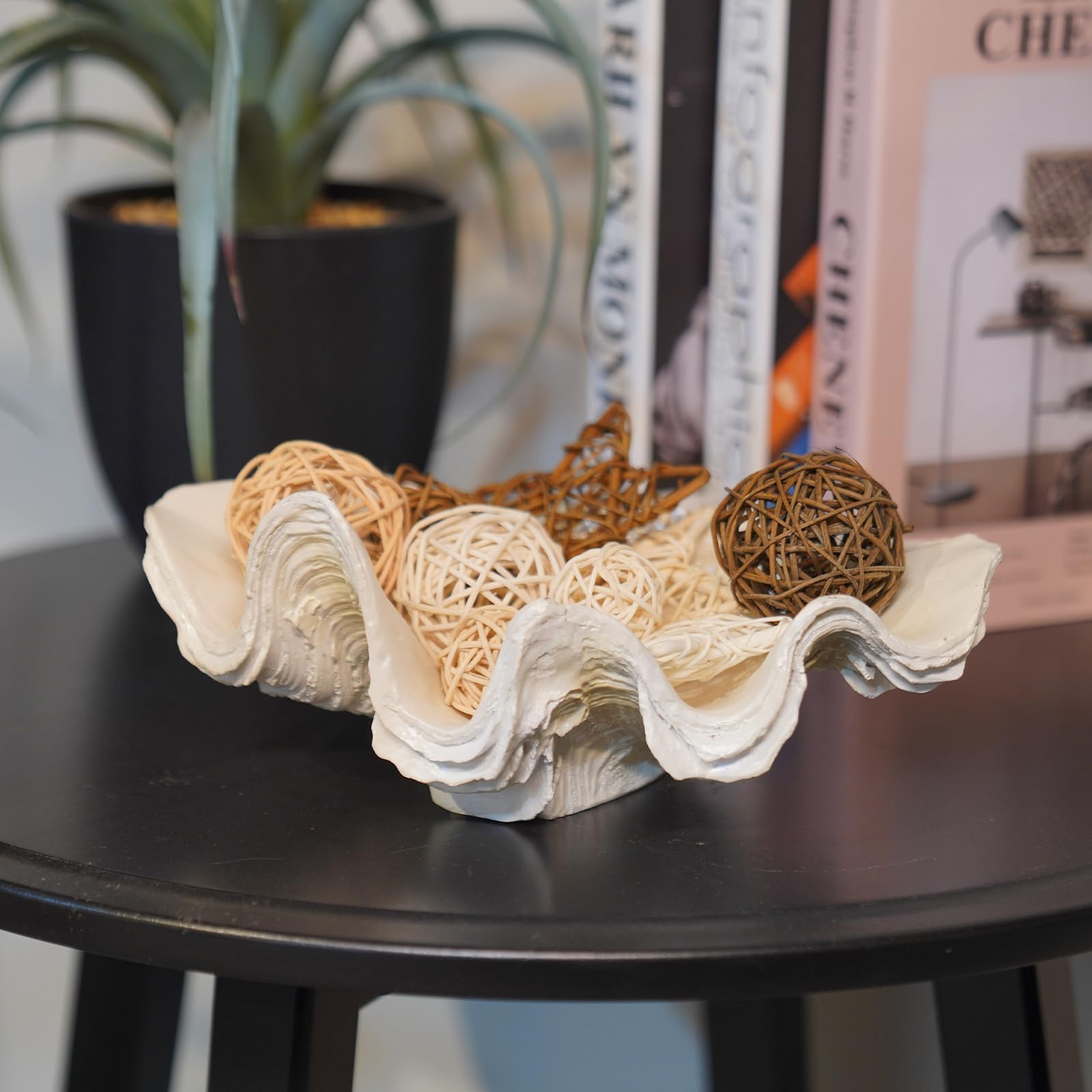 LC LCdecohome resin clam shell bowl used for succulents display