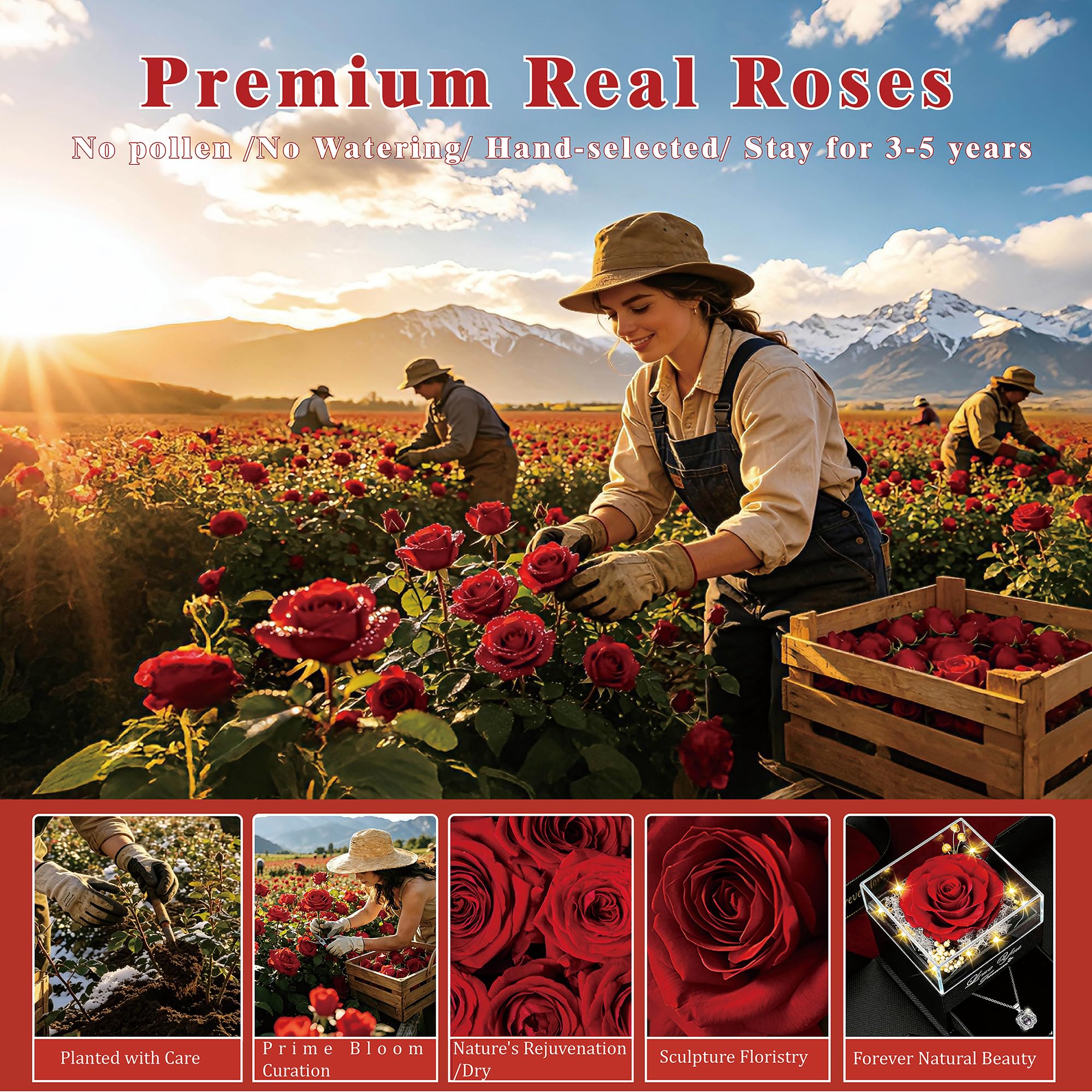 Lebana mother’s day and valentines gift rose featuring necklace.