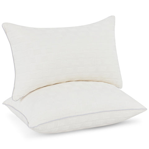 Leeden 12x20 pillow insert two-pack on a sofa for added comfort