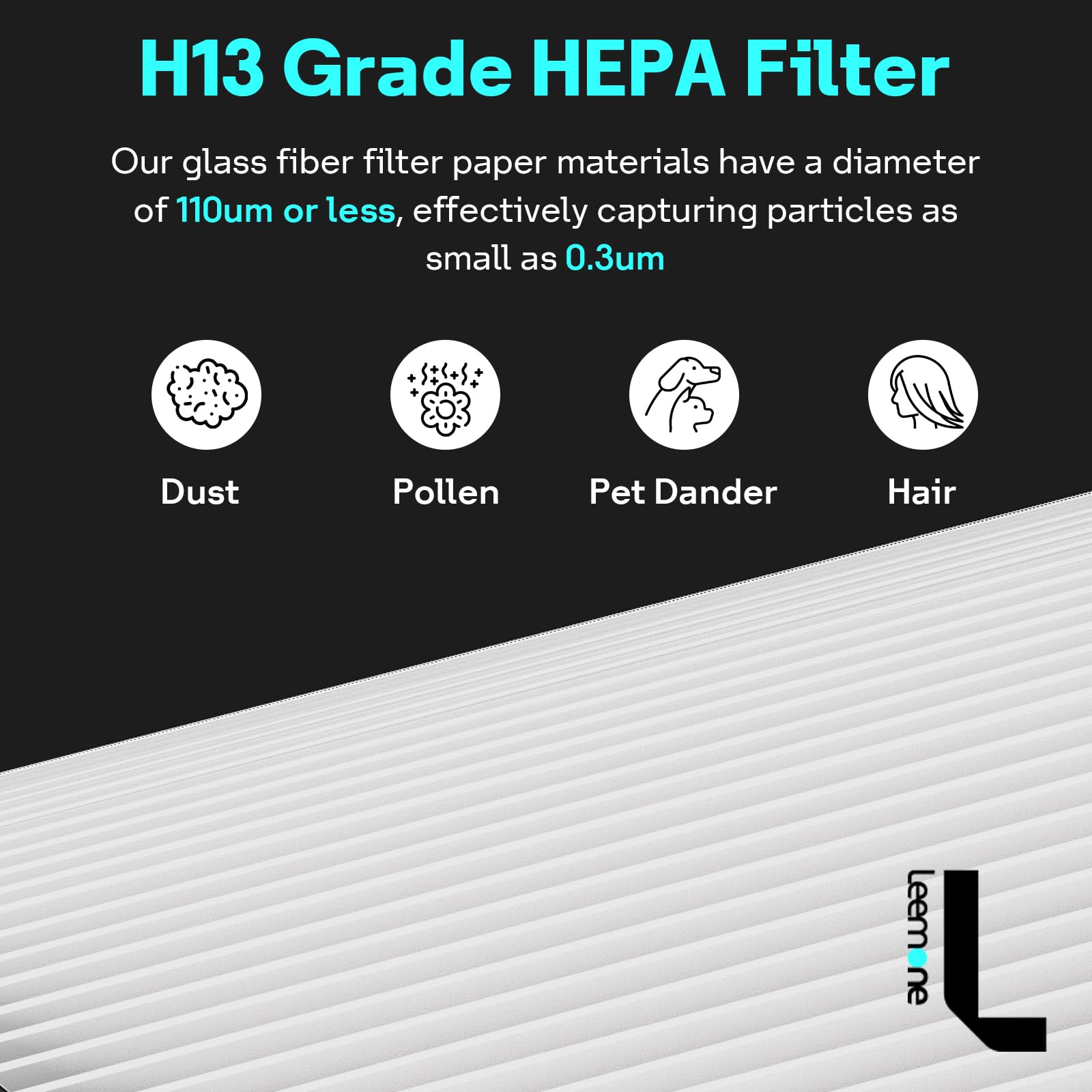 Leemone 2-in-1 filter compact design image communicates space-saving convenience.