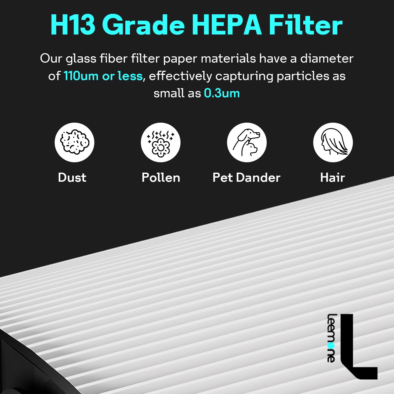 Leemone activated carbon detail emphasizes odor absorption from cooking and pets.