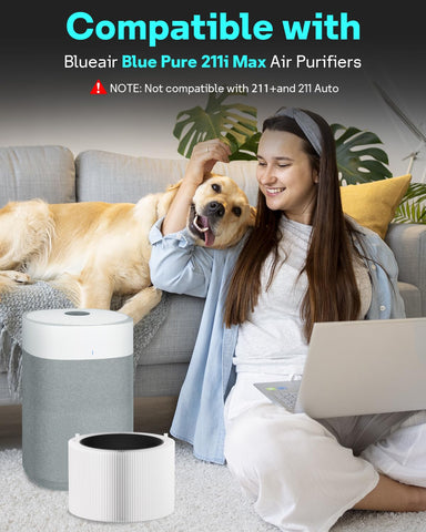 Leemone Blue Pure 211i Max HEPA close-up shows filtration media