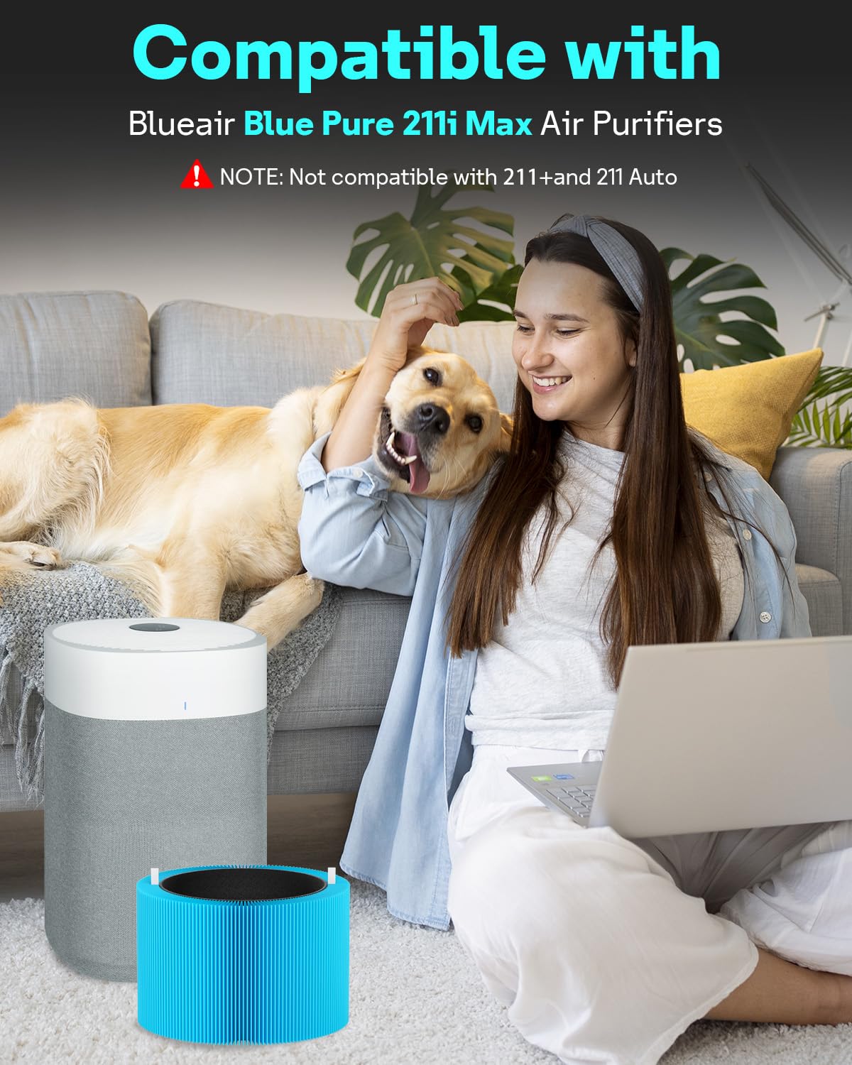 Leemone packaging for Blue Pure 211i Max filters highlights simple compatibility.