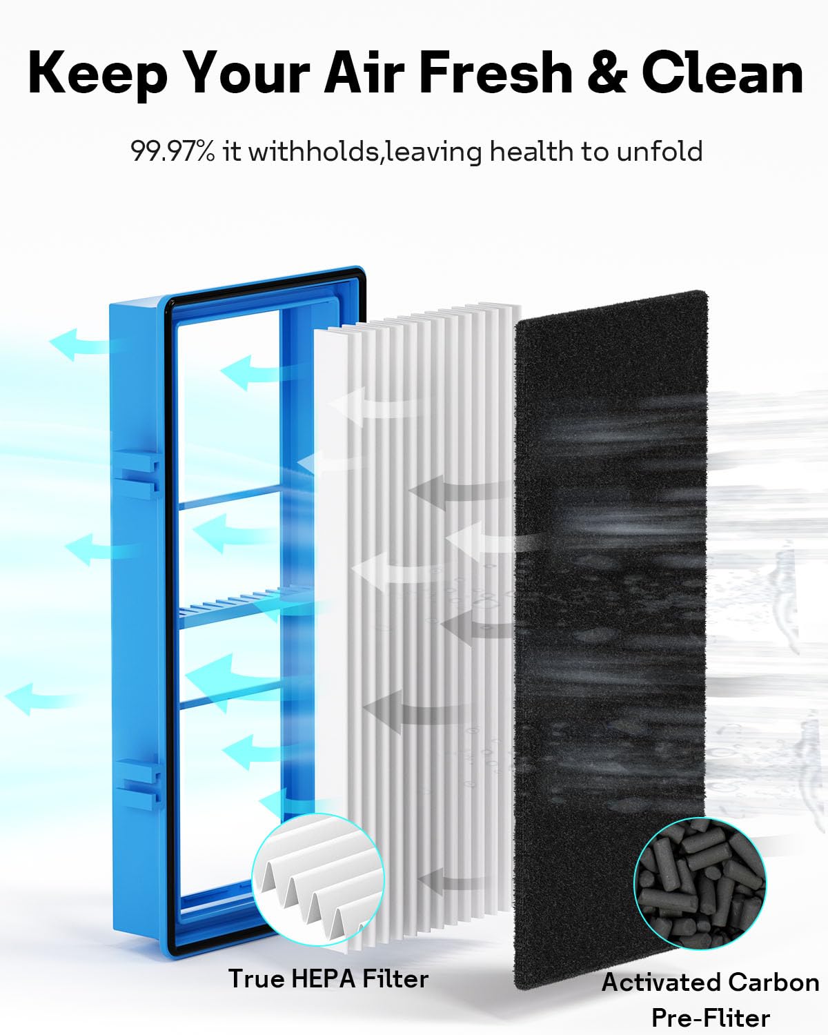 Leemone Carbon Booster Pre-filter visual highlighting odor absorption from pets, cooking, smoking.