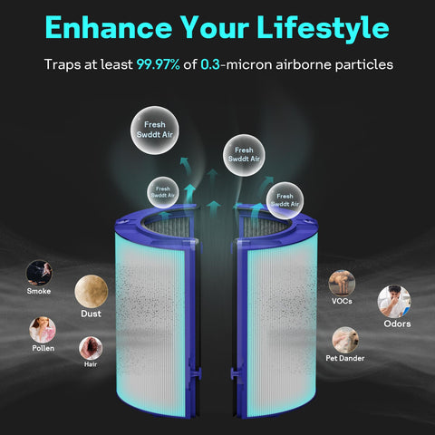 Leemone Dyson compatibility information for model range and fit