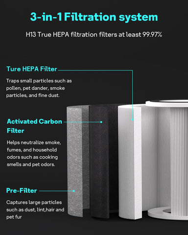 Leemone HP202 true HEPA matrix captures fine particles efficiently